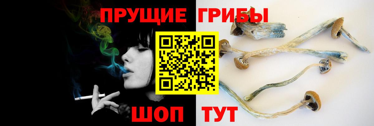 Псилоцибиновые грибы прущие грибы  Вход с VPN  Уфа 